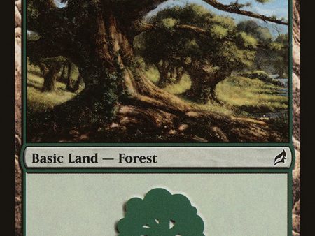 Forest (299) [Lorwyn] Online