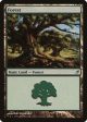 Forest (299) [Lorwyn] Online