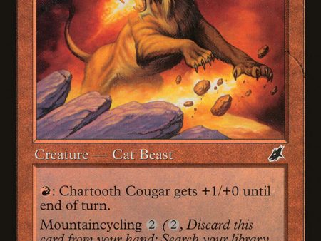 Chartooth Cougar [Scourge] For Discount