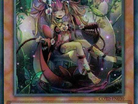 Traptrix Mantis [COTD-EN030] Super Rare Cheap