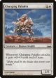 Charging Paladin [Duel Decks: Divine vs. Demonic] For Sale